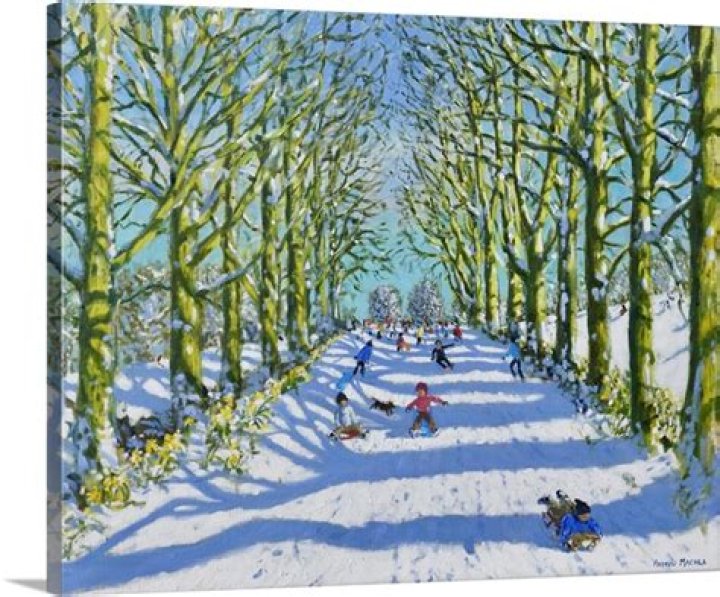 Fun in the Sun and Snow