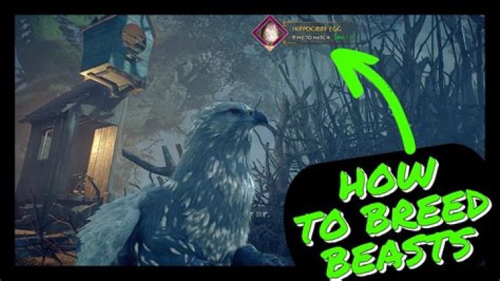 How to Breed Beasts in Hogwarts Legacy