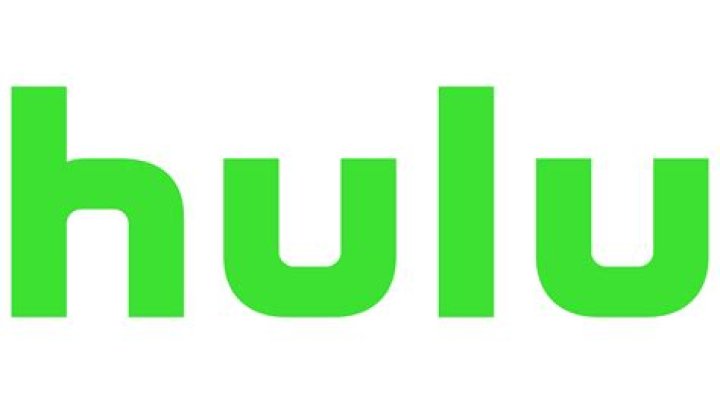 Hulu's Immigrant Starring Kumail Nanjiani