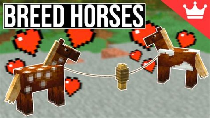 Minecraft: How to Breed Horses