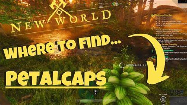 New World: Petalcap Location | The Nerd Stash