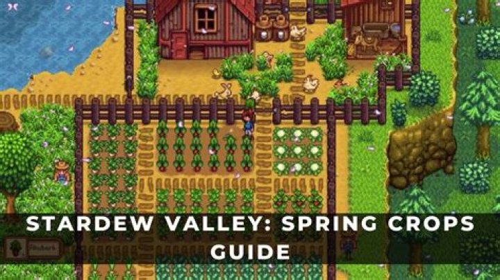 Stardew Valley Guide - How to Get Large Milk