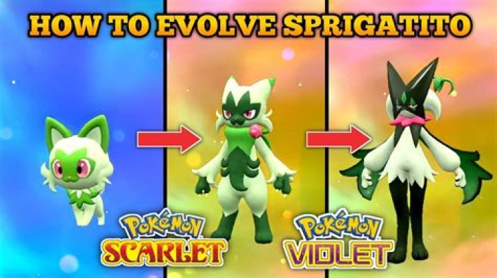 What Level Does Sprigatito Evolve?